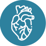 Heart & Cardiovascular Health