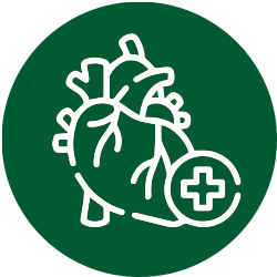 Cardiovascular Health