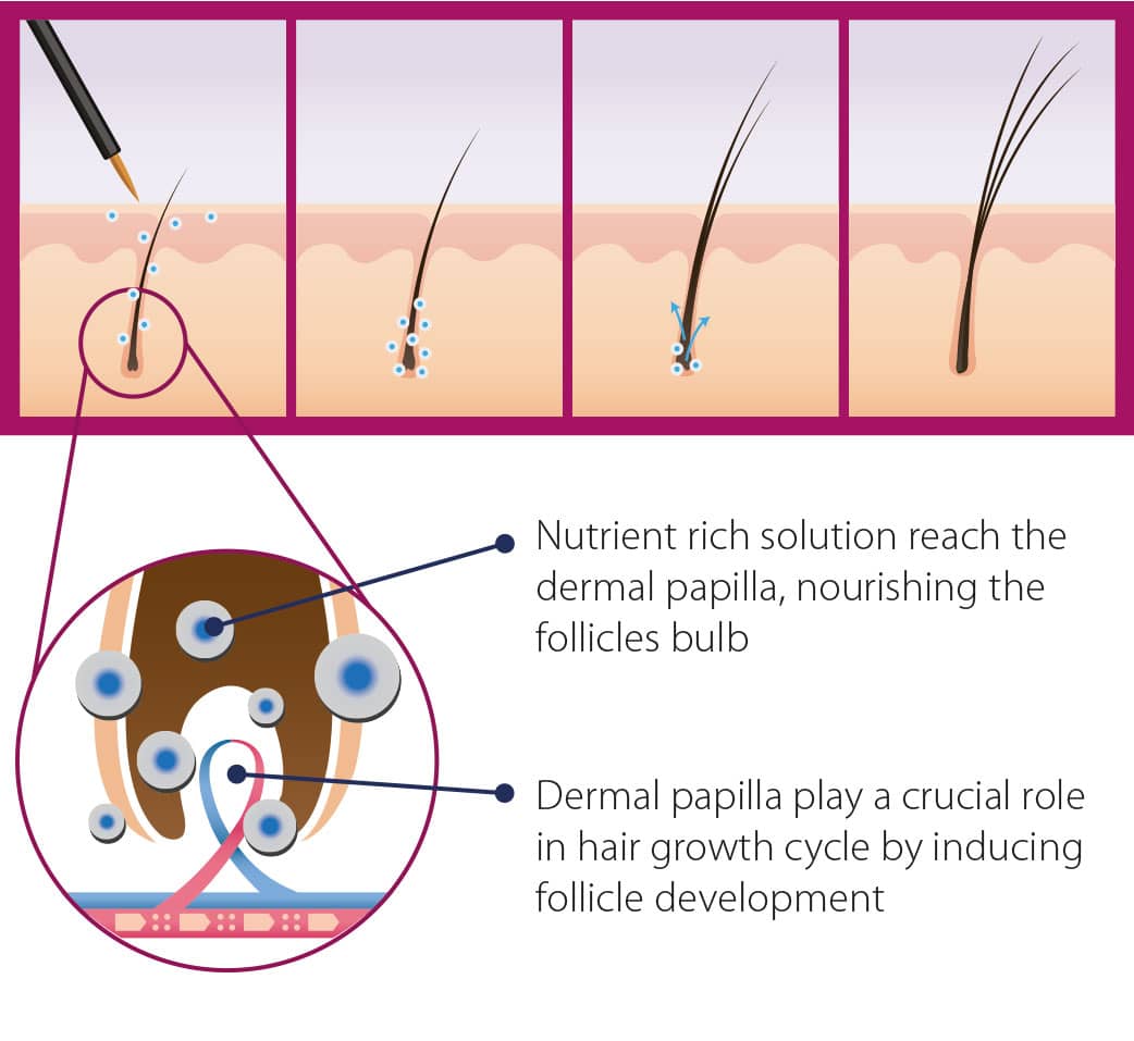 How does Eyelash Restorative Serum works?