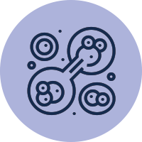 Cellular-Energy-&-Mitochondrial-Support