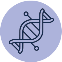 DNA-Repair-&-Cellular-Protection