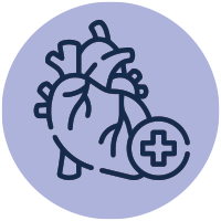 Heart-&-Circulatory-Health