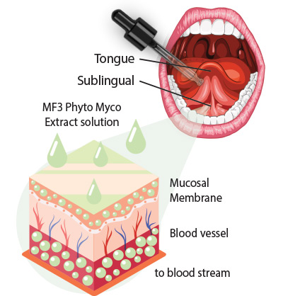 Swiss Naturo Phyto Myco