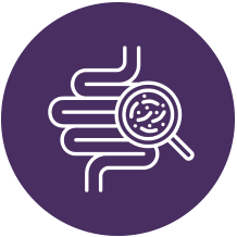 Anti-Inflammatory-Support Anti-Inflammatory Support