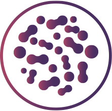 Prebiotic (Inulin) Prebiotic (Inulin)